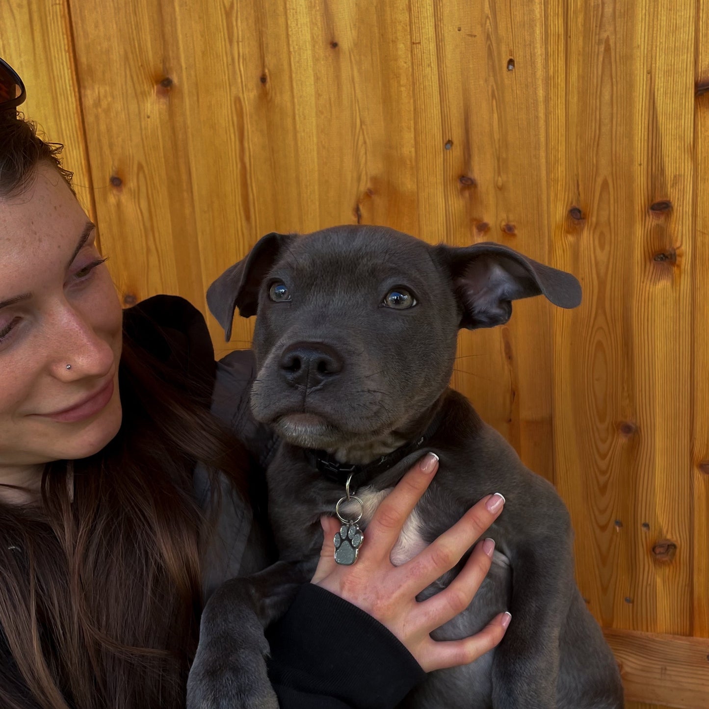 K9 Obedience Training